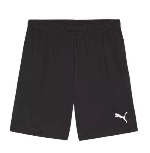 TeamGoal Shorts